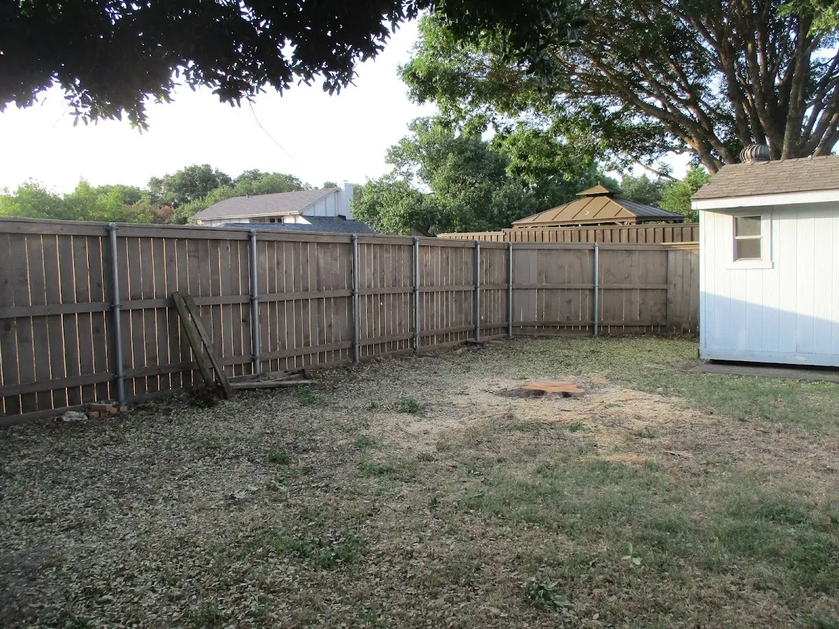 Cleared yard after professional tree removal in Cattaraugus